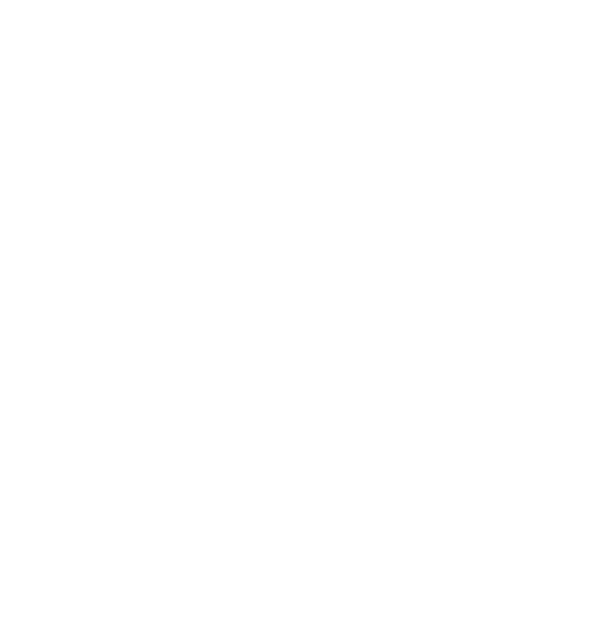 inmigracion y ciudadania logo